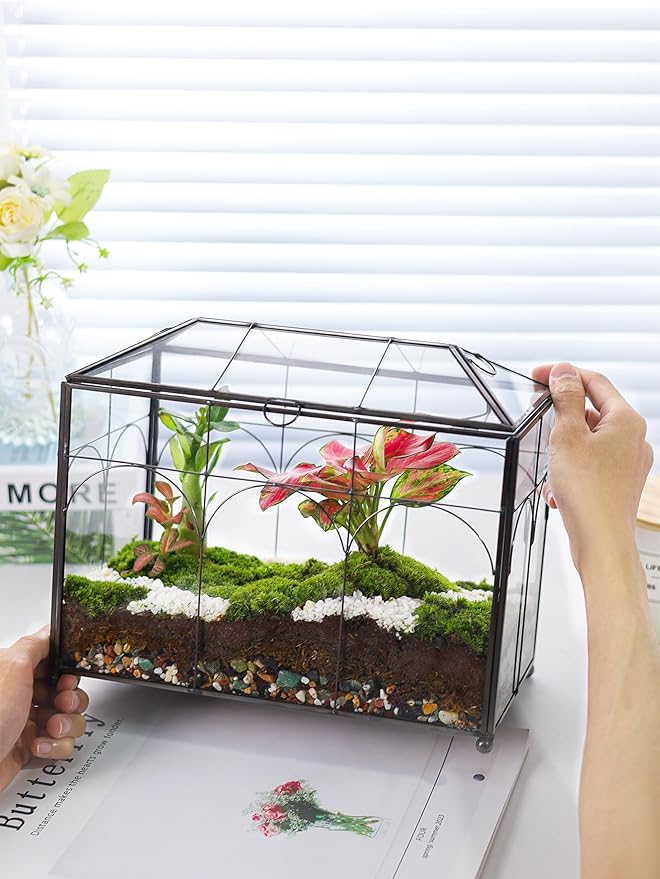 REDHUGO Handmade Glass Planter Terrarium with Lid, Indoor Tabletop Centerpiece Display Box Modern Decor DIY Gift Plant Terrarium Container for Succulent Cacti Air Plants Flower (Black)