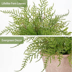 Artificial Fern Potted Plant, 9" Small Fake Plants in Pot, Faux Lace Fern Plant Greenery for Home Office Farmhouse Living Room Bathroom Kitchen Tabletop Desk Shelf Decoration