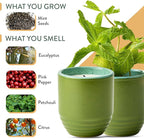 Modern Sprout - 2-in-1 Soy Candle & Planter - in The Weeds (Eucalyptus, Pink Pepper, Patchouli, Citrus) 6 Oz Scented Candle w/Mint Seeds - Ceramic Vessel Dual Purpose Jar - 38-40 Hour Burn