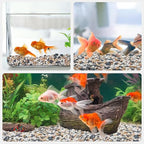 Pulovin 2.5 lbs Small Rocks for Plants, 1/5 Inch Pebbles for Indoor Plants, Natural Decorative Pea Gravel for Aquarium, Fish Tank, Terrarium, Succulents, Bamboo Plants, Vases, Cactus, Crafts