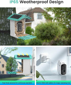 Smart Bird Feeder Camera (Dual Panel), Solar Powered, Identify 11,000+ Birds with AI, Auto Capture & Notify, 2K HD Footage, Outdoor Bird Watching, Ideal Gift for Birds Lovers.