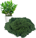 Fake Green Moss for Potted Plants Indoor, 7 oz Artificial Moss for Crafts, Realistic Faux Moss Decor for DIY Fairy Garden, Terrariums, Table Centerpieces, Wedding & Home Decor