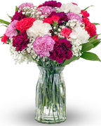 Benchmark Bouquets - Carnation Mix - Fresh Flowers for Delivery - Mothers Day Flowers - Get Well Gifts for Women - White, Purple and Pink Floral Bouquet - Glass Vase Included (26 Stems)