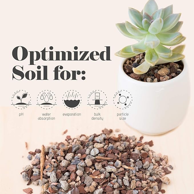 Bonsai Jack Succulent, Cactus and Bonsai Soil - Jacks Gritty Mix - 12 Gallons – Fast Draining – Fight Root Rot – Optimized pH