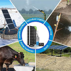 ECO-WORTHY 12V DC Solar Well Pump Kit – 200W Solar Panel Included, Submersible Water Pump, Portable Well Pump for Off-Grid Areas, Deep Wells, Irrigation, Water Tank Filling