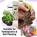 Flower Seed Pods for All Hydroponics Growing System, 8 Pods with 600+ Seeds of Marigold, Lavender, Petunia, Dark Pink Dianthus, Clover and Snapdragon