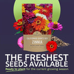 Bulk Zinnia Seeds - California Giants Mix - 1 Pound Bag Over 48,000 Flower Seeds - Mixed Colors and Large Blooms