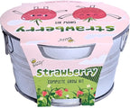 BUZZY Seeds Mini Basin Gardening Kit with Strawberry Seeds for Planting, Flowering Fruit Starter Set, Indoor Plants, DIY Plant Project, Party Favor