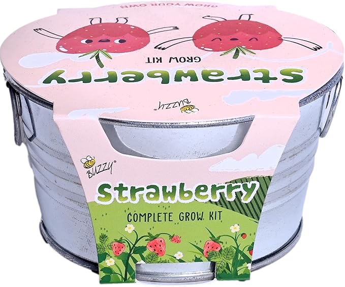 BUZZY Seeds Mini Basin Gardening Kit with Strawberry Seeds for Planting, Flowering Fruit Starter Set, Indoor Plants, DIY Plant Project, Party Favor