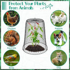 6 Packs 13.4"x12" Garden Cloches for Plants, Plant Protectors from Animals,Plant Cages for Outdoor Plants,Plant Covers from Animals,Chicken Wire Cloche with Stakes+Labels+Gloves for Protect Plants