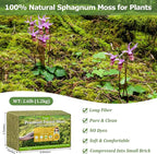 Legigo 2.6LBS Sphagnum Moss for Plants, 50QT Natural Orchid Moss Potting Mix Dired, Green Forest Plant Moss for Orchid Repotting Carnivorous Succulents Indoor Potted Plants Gardening and Reptiles