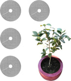 4 Pcs Plant Pot Grids – Adjustable Soil Cover for Indoor/Outdoor Plant Protection – Durable Mesh Guard to Keep Animals Away from Potted Plants