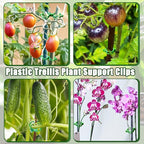 400 Pcs Plastic Trellis Plant Support Clips,Vine Vegetable Fixing Clips,Grape Tomato Plant Support,Garden Vine Clips for Healthier Vegetable Growth (Green)