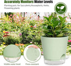 Plant Pots 4/5/5.5/6/6.5/7 Inch Self Watering Pots, 6 Pack Plastic Planters with Drainage Holes and Clear Saucers,Plastic Flower Pots,Nursery Planting Pot for Indoor Out Door Plants (Green)