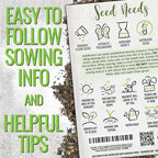 Seed Needs Flower Seeds Hummingbird and Butterfly Seed Mix 1 Ounce No Filler | 23 Varieties Garden Seeds Annual & Perennial Species | Pollinator Attracting Flowering Seed | Bulk Resealable Package