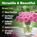 HOME GROWN Pink Zinnia Seeds – 600 Luminosa Zinnias 1g, Easy to Grow Annual Flower Seeds for Planting Outdoors for 2026, Fast Blooming, Heat Tolerant Herb Seed Garden Companion (Zinnia elegans)