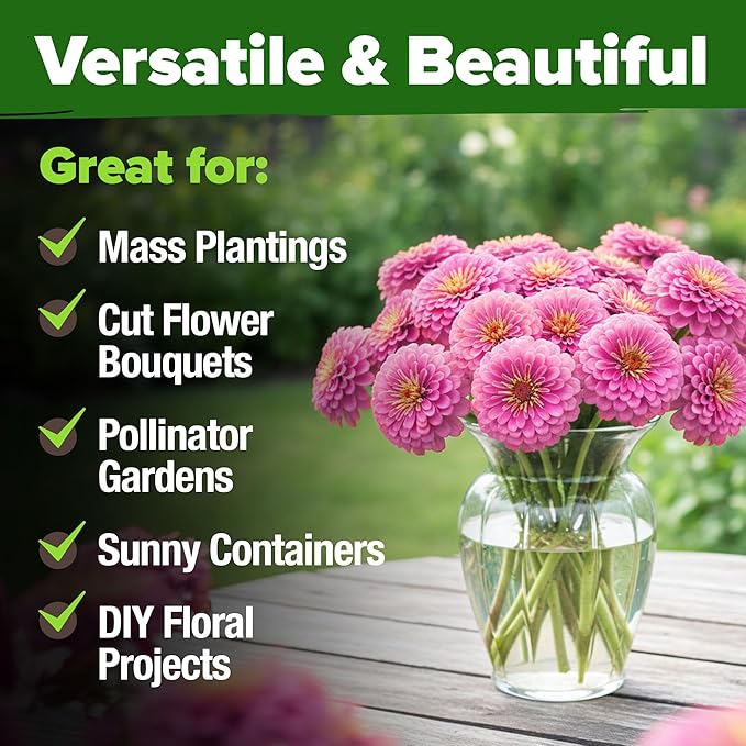 HOME GROWN Pink Zinnia Seeds – 600 Luminosa Zinnias 1g, Easy to Grow Annual Flower Seeds for Planting Outdoors for 2026, Fast Blooming, Heat Tolerant Herb Seed Garden Companion (Zinnia elegans)