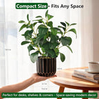 florisso Artificial Succulents with Fig Leaf Greenery in Black & Gold Planter, Fake Succulents Potted Decor for Farmhouse, Bathroom, Bedroom, Kitchen, Office Desk and Coffee Table (Black Gold)