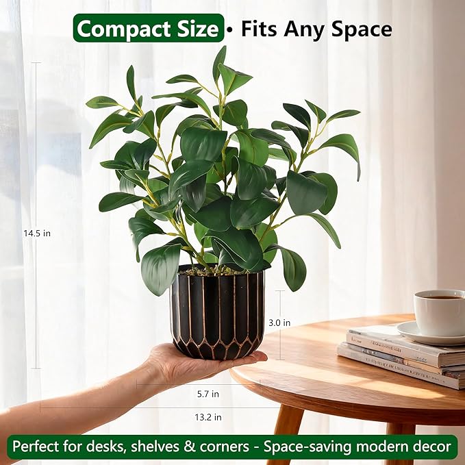 florisso Artificial Succulents with Fig Leaf Greenery in Black & Gold Planter, Fake Succulents Potted Decor for Farmhouse, Bathroom, Bedroom, Kitchen, Office Desk and Coffee Table (Black Gold)