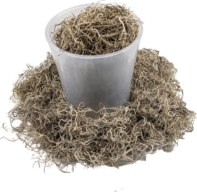 Gardenera Premium Natural Spanish Moss | Natural Preserved - Great Ground Cover - Filler for Potted Plants - 3 Quart Bag