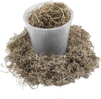 Gardenera Premium Natural Spanish Moss | Natural Preserved - Great Ground Cover - Filler for Potted Plants - 2 Quart Bag (GRD-SPANISH-MOSS-2QT)