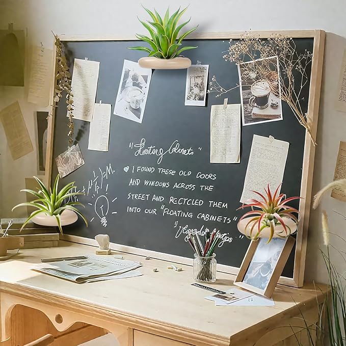 12 Pack Air Plant Holder Magnet Wooden Air Plant Display Stand Small Hanging Planter Wall Mount Holder for Live Tropical Tillandsia Fridge Home Office Decoration Plants Not Included (12, Natural Wood)
