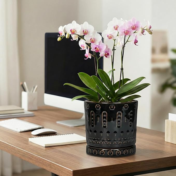 8 Inch Pots for Plants, Ceramic Plant Pot for Indoor Outdoor, Round Planter with Drainage Hole and Tray, Modern Flower Pot, Decorative Plant Pots, Room Decor, House Warming Gifts, Black