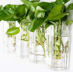Kingbuy Plant Terrarium Container Propagation Station Square Tube Vase Wall Hanging Glass Planter Indoor Hydroponic Plants Home Office Garden Decor, 4 Pack