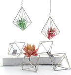 Geometric Silver Iron Air Plant Hangers and Stands Set - 2 Hanging with Chains + 4 Tabletop Holders for Tillandsia, Succulents, Modern Home Decor, Wall or Desk Display