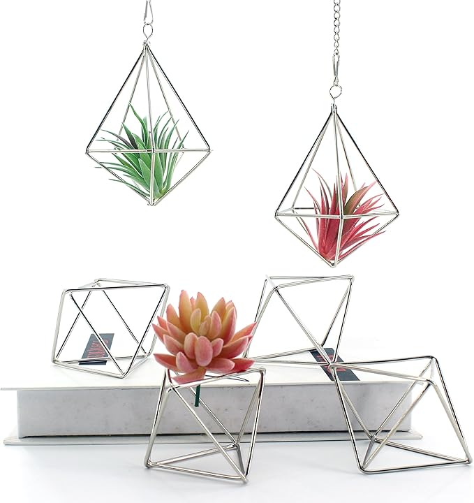 Geometric Silver Iron Air Plant Hangers and Stands Set - 2 Hanging with Chains + 4 Tabletop Holders for Tillandsia, Succulents, Modern Home Decor, Wall or Desk Display