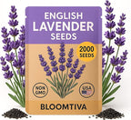 Premium English Lavender Seeds – 2,000 Non-GMO, USA-Grown Herb Seeds for Indoor & Outdoor Planting – High Germination Wildflower (Lavandula angustifolia)