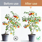 RAINFLOW 200 PCS Plant Clips Orchid Clips - Plant Support Clips for Indoor Plants, Small Plastic Garden Trellis Clips for Plant Stakes, Climbing Vine Stem Support, Orchid Plant Training Upright Growth