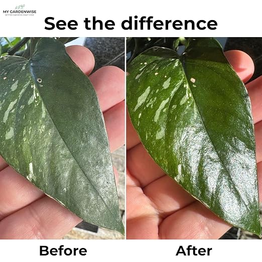 GardenWise Leaf Shine Spray for Indoor Plants – Plant Leaf Cleaner & Shine for Real House Plants – Fragrance-Free, Non-Sticky, Streak-Free Finish, 16 fl oz