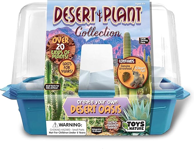 Toys By Nature Miniature Worlds Desert Oasis Succulent Terrarium Starter Kit - Complete Supplies for Fast Growth Rate! Fun & Easy Setup for Indoor Miniature Garden (Desert Plant Collection)