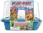 Toys By Nature Miniature Worlds Desert Oasis Succulent Terrarium Starter Kit - Complete Supplies for Fast Growth Rate! Fun & Easy Setup for Indoor Miniature Garden (Desert Plant Collection)