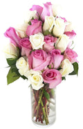 KaBloom - Pink and White Roses (Two Dozen) With Vase - Fresh Flowers for Birthday, Valentine's & Mother's Day