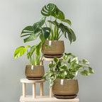 G EPGardening Ceramic Planters - 9 Inch Ceramic Pots for Plants Indoor Outdoor, Round Planter with Drainage and Saucer, Modern Indoor Flower Pots, House Room Decor, Gift for Women Men, Speckled Brown