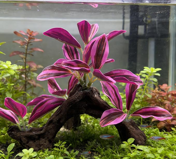M2cbridge Fish Tank Plastic Soft Grass Artificial Betta Water Plants Decoration Goldfish Hide 2pcs (Purple)