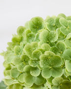 DuHouse 4Pcs Large Hydrangea Artificial Flowers,20 inch Latex Real Touch Hydrangeas Lifelike Hydrangea Flower for Home Wedding Bouquets Centerpieces Party Living Room Decoration(Green)