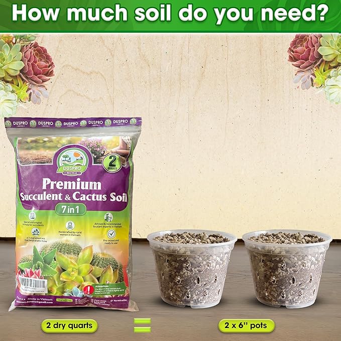 DUSPRO Succulents Soil Potting Mix – 7 in 1 Ingredients Well-Draining, Nutrient-Rich Cactus Potting Soil for Succulents and Cacti, Indoor & Outdoor Use, Ready to Use, Supports Healthy Root Growth, 2QT