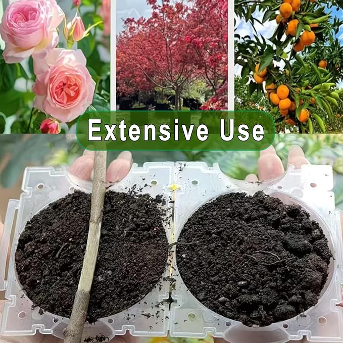 Markeny Reusable Plant Rooting Ball, Plant Propagation Root Ball Effective Invisible Propagation(15PCS), White