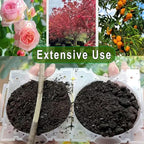 Markeny Reusable Plant Rooting Ball, Plant Propagation Root Ball Effective Invisible Propagation(15PCS), White