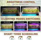 Seed Starter Tray Self Watering, Seed Starter Kit with Grow Light, Full Spectrum Grow Light for Seedling with Timer, Indoor Plant Grow Tray for Beginners & Seasoned Gardeners (144 Cells)
