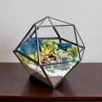 Creations by Nathalie DIY 7" Geometric Terrarium Kit - Build Your Own Glass Terrarium for Adults & Teens with Moss, Crystals, Tools & Decorative Figurine - Mini Ecosystem (Plant Not Included)