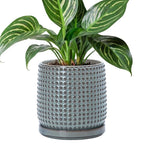 D'vine Dev 6 Inch Ceramic Beaded Stoneware Planter Pot - Flower Pot with Drainage Holes and Saucers for Indoor Succulent Plants or Flowers, Graphite Blue, 27-C-X-9