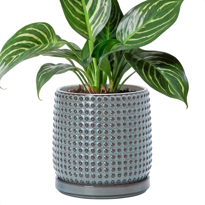 D'vine Dev 6 Inch Ceramic Beaded Stoneware Planter Pot - Flower Pot with Drainage Holes and Saucers for Indoor Succulent Plants or Flowers, Graphite Blue, 27-C-X-9