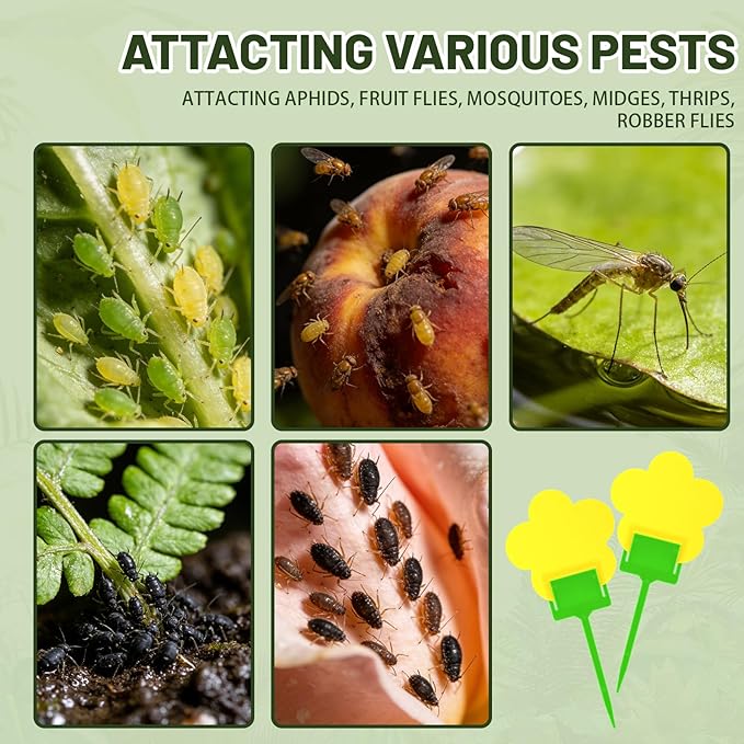 Qualirey 100 Pcs Fungus Gnat Traps Yellow Flower Shaped Plant Sticky Insect Traps Double Sided Bug Killer Fruit Fly Fungus Gnat Catcher with Green Stakes for Summer Indoor Outdoor Plants Kid Pet Safe