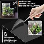 Acrylic Jumping Spider Enclosure - Insect Terrarium for Spiders, Mantises, Tarantulas & Frogs