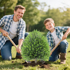 25.6" Artificial Cedar Topiary Ball Plants: Set of 2 Faux Cypress Bushes with Spike – UV Resistant & Fade Resistant Artificial Shrubs, Evergreen Spring Fake Tree for Outdoor Indoor Porch Garden