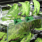 3 Holes Upgraded Aquatic Plant Cup Aquarium Plant Holder for Tank,Aquascape Accessories Decorations- Green 2 Pcs